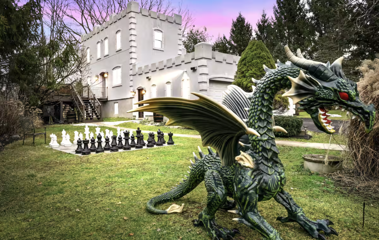 Dragon in front of a castle